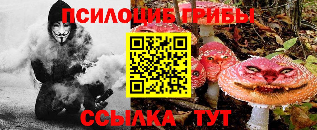 Галлюциногенные грибы прущие грибы  Галлюциногенные грибы Psilocybe  Котлас  Вход с VPN 