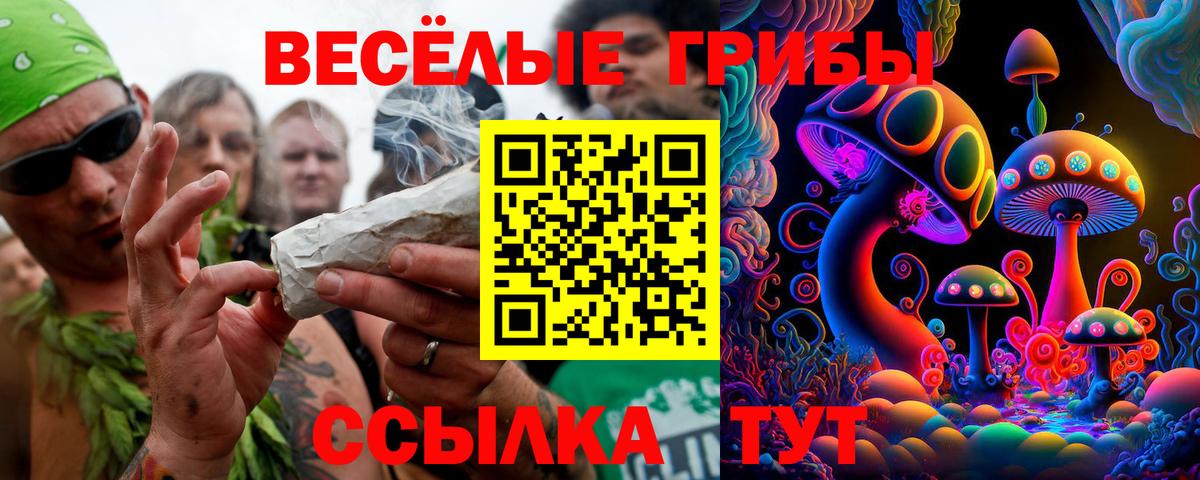 Псилоцибиновые грибы Magic Shrooms Котлас